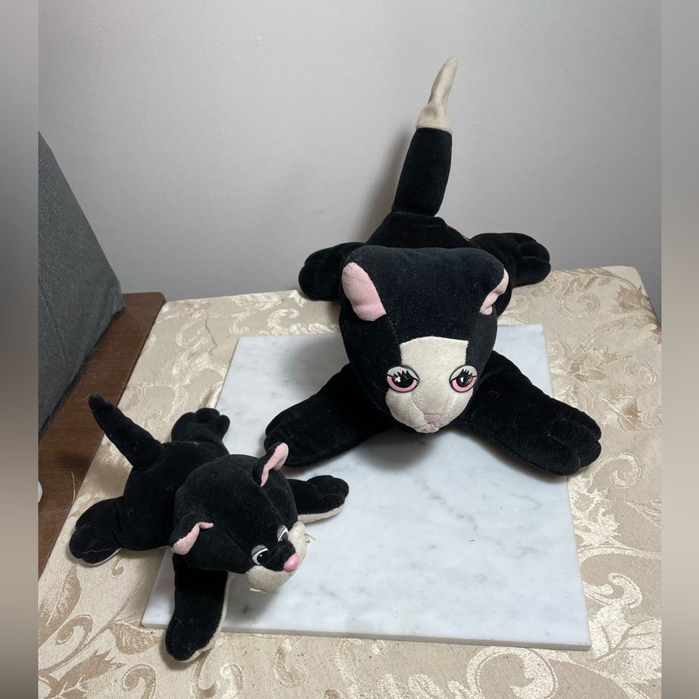 Pound Purries, pound puppies. Black and white mom cat and her kitten. Vintage